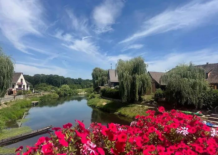 Apartamento Maison Cosy 6p - Europa-park&colmar - Cinéma Illhaeusern